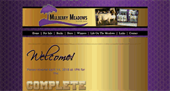 Desktop Screenshot of ksmmboers.com